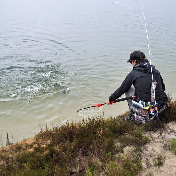 Feumer: [Der unterschätzte Begleiter am Wasser]