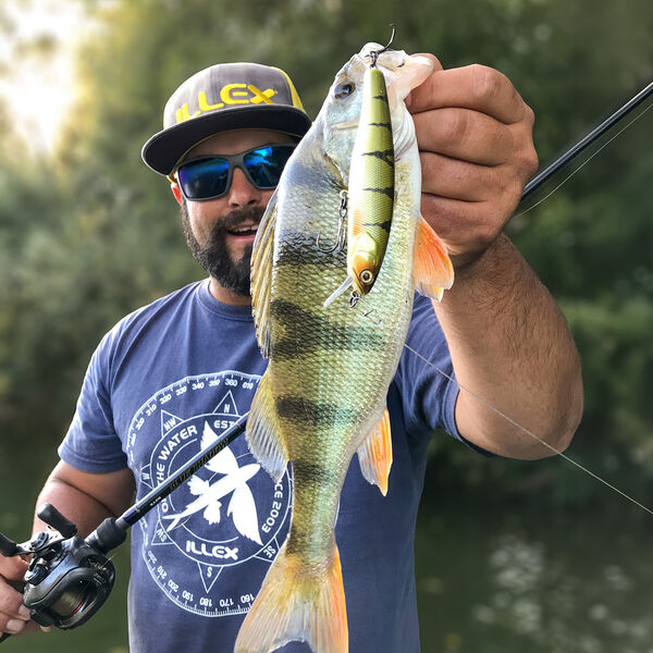 Raubfische: Artgenossen auf dem Speiseplan