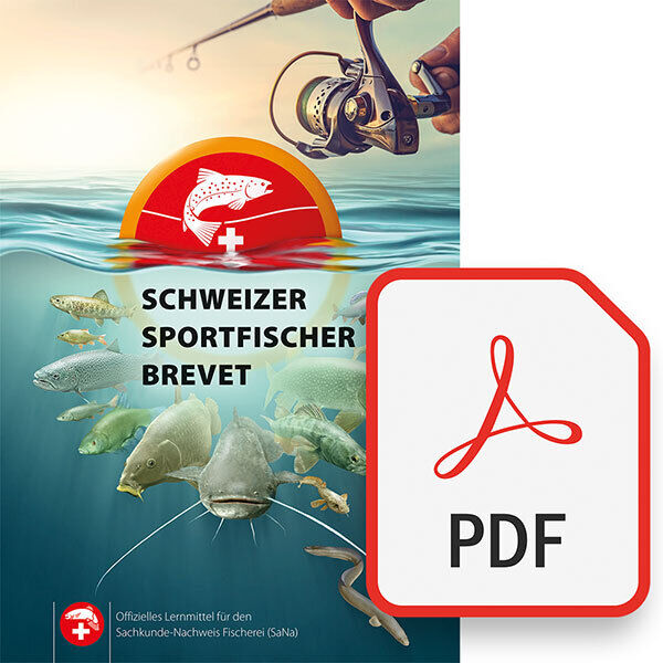 PDF-Lernmittel [inkl. 3 Monate] Online-Training