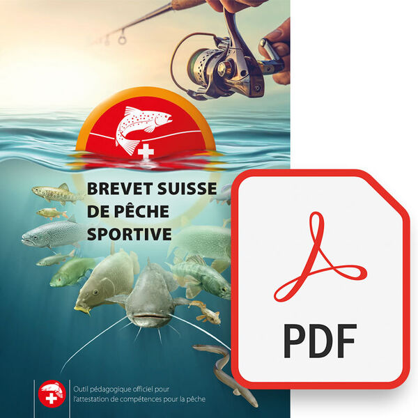 Manuel PDF [y compris 3 mois du training online]