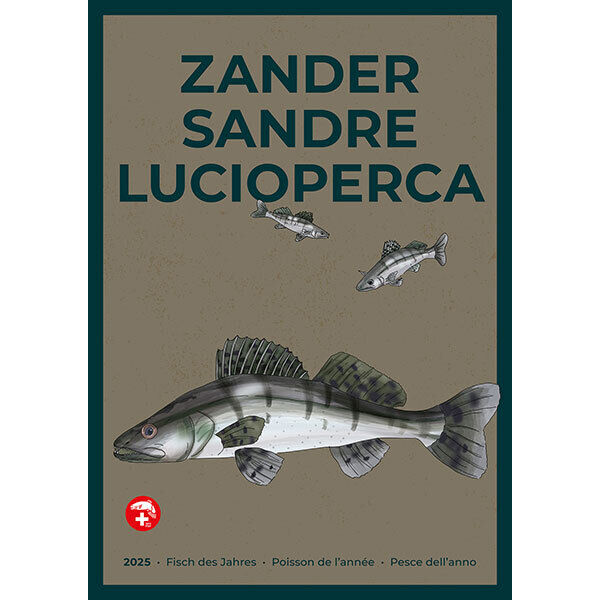 [Poster: ]Pesce dell'anno 2025