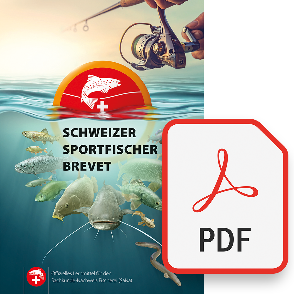 PDF-Lernmittel [inkl. 3 Monate] Online-Training