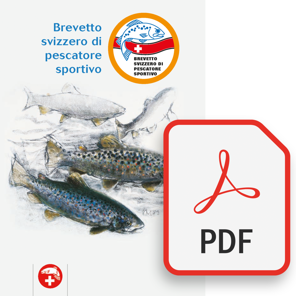 Brevetto svizzero di pescatore sportivo [PDF]