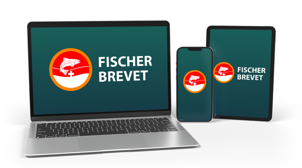Fischer Brevet eLearning [(seulement allemand)]
