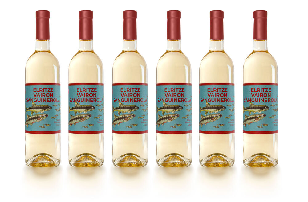 Le vin du poisson de l'année 2026