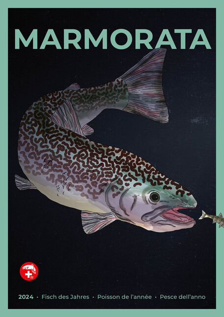 [Poster : ]Poisson de l'année 2024