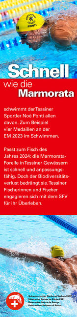 [Sammelflasche] Wein zum Fisch des Jahres 2024