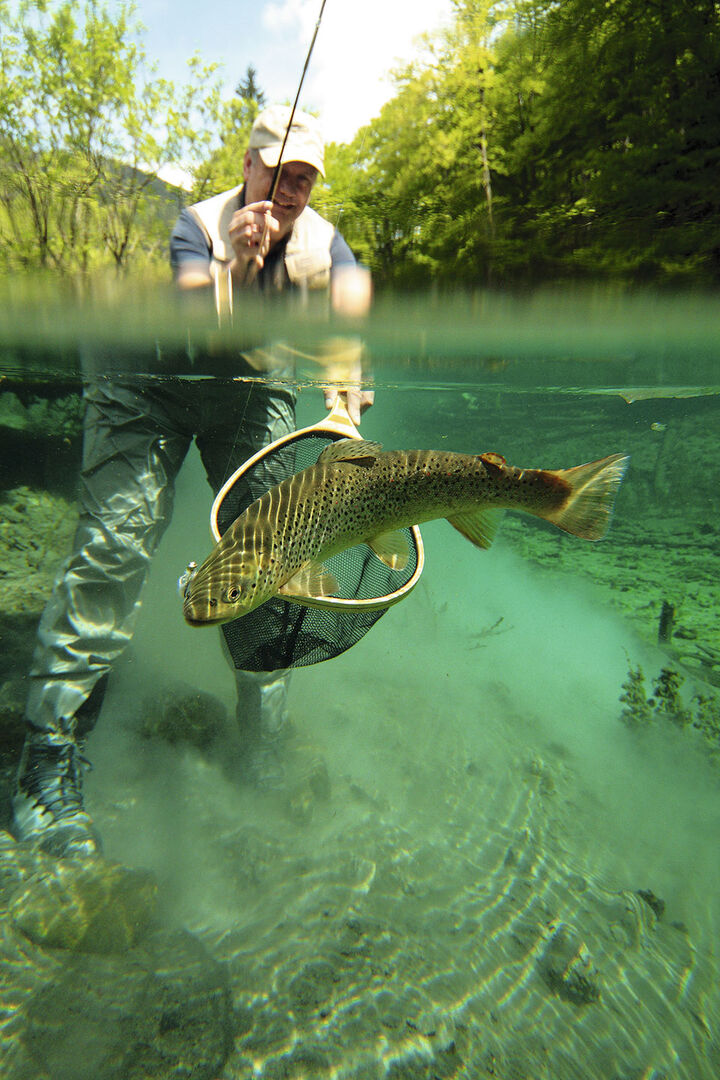 Fische richtig landen - Vergleich unterschiedlicher Methoden 