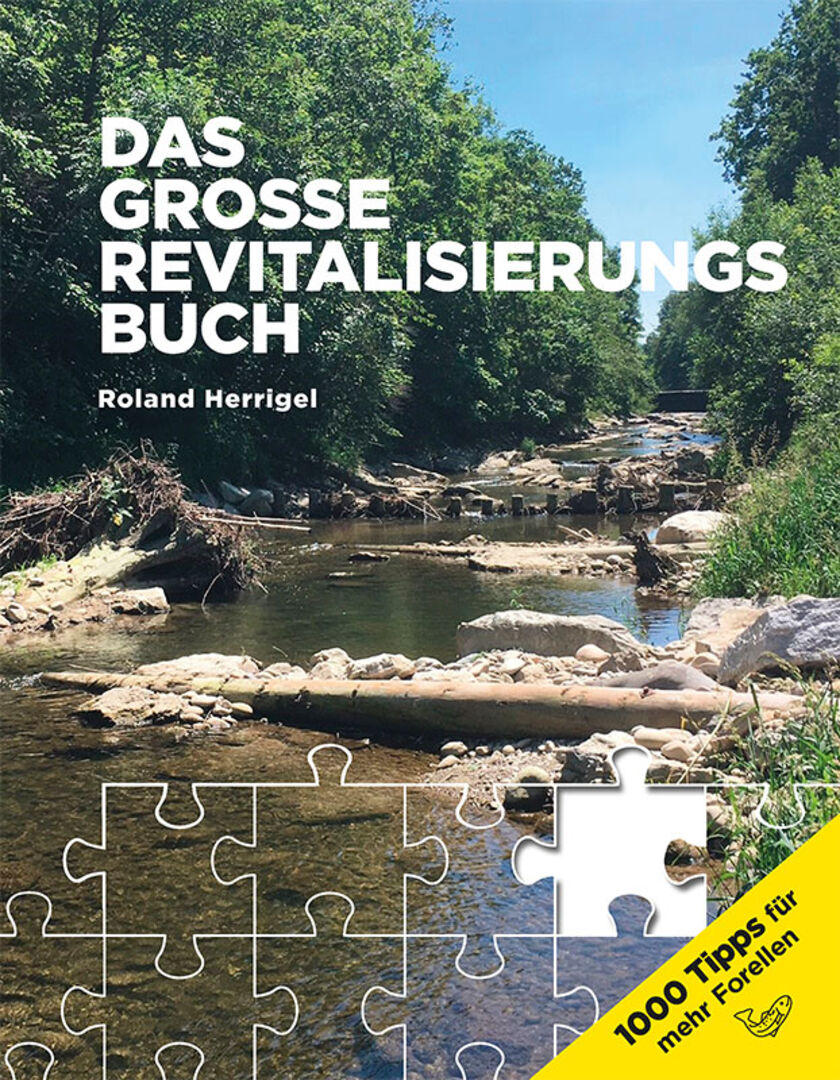 Das grosse Revitalisierungsbuch